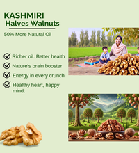 Nutaze Royal Selected Walnut Kernels – 100% Natural