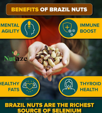 Nutaze Raw Brazil Nuts – Energy-Packed Superfood