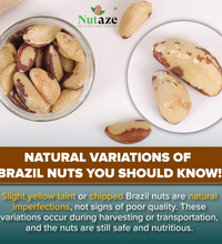 Nutaze Raw Brazil Nuts – Energy-Packed Superfood